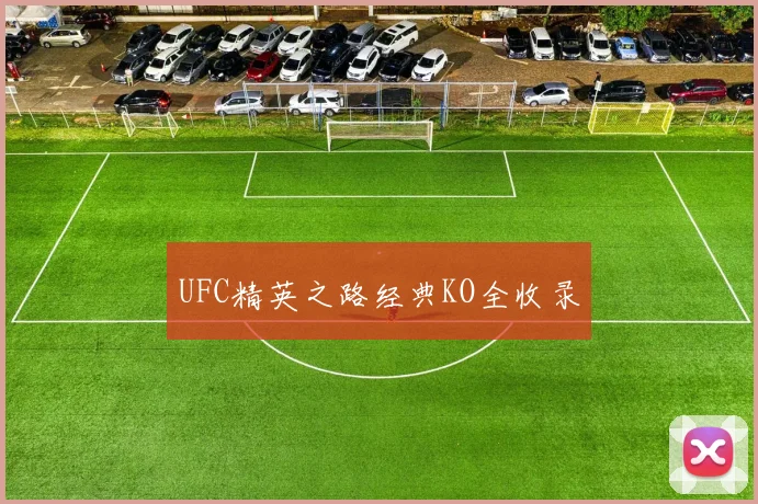 UFC精英之路经典KO全收录