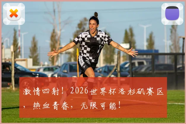 激情四射!2026世界杯洛杉矶赛区,热血青春,无限可能!