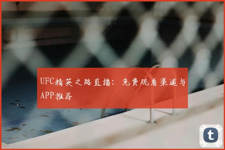 UFC精英之路直播:免费观看渠道与APP推荐