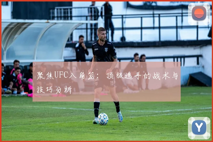 聚焦UFC八角笼:顶级选手的战术与技巧分析