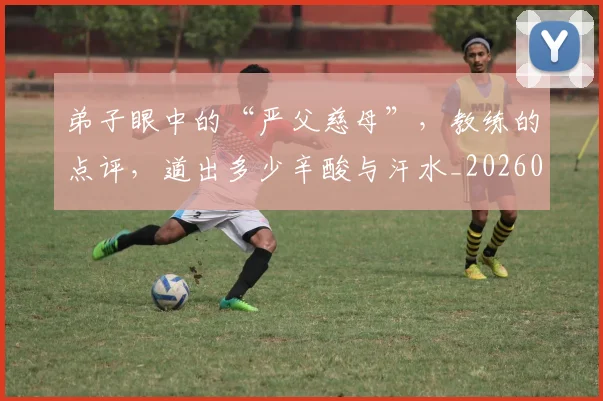 弟子眼中的“严父慈母”,教练的点评,道出多少辛酸与汗水_20260526073952