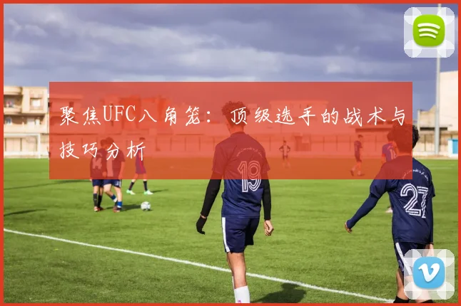 聚焦UFC八角笼:顶级选手的战术与技巧分析