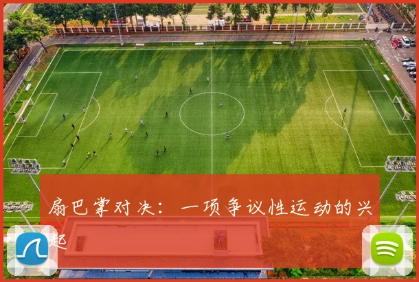 扇巴掌对决:一项争议性运动的兴起